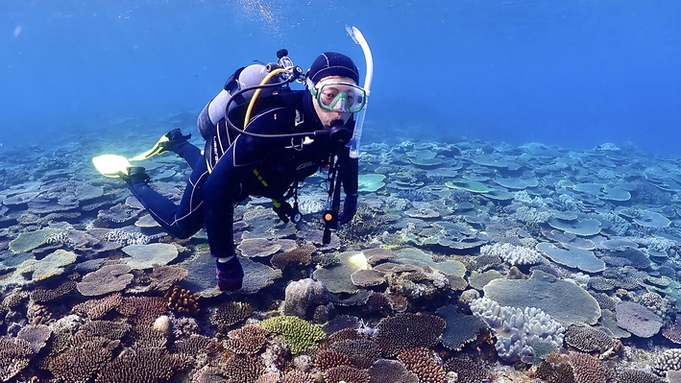 【アクティブ体験がしたい方におすすめ☆水納島・瀬底島ボートスノーケリング＆体験ダイビング付きプラン】